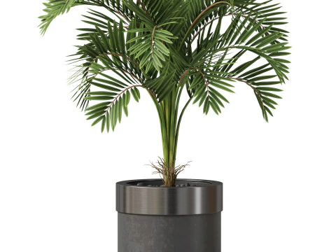 Plants collection 830 3D Model
