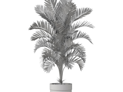 Plants collection 830 3D Модель