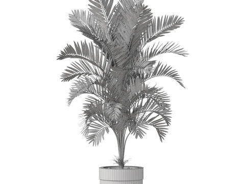 Plants collection 830 3D Model