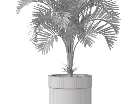 Plants collection 830 3D Модель