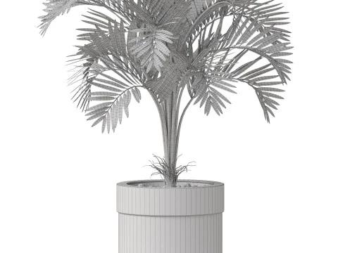 Plants collection 830 3D Model