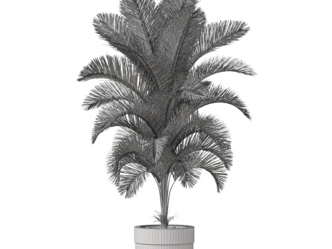 Plants collection 831 3D Model
