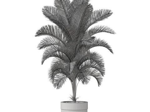 Plants collection 831 3D Model