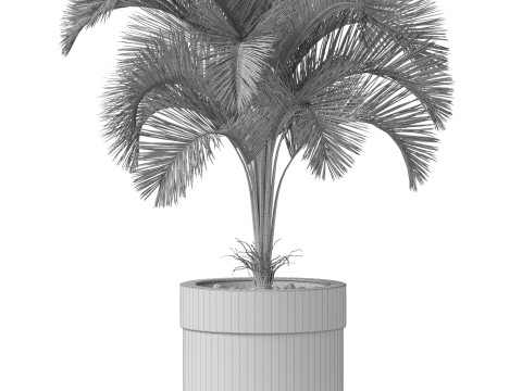 Plants collection 831 3D Model