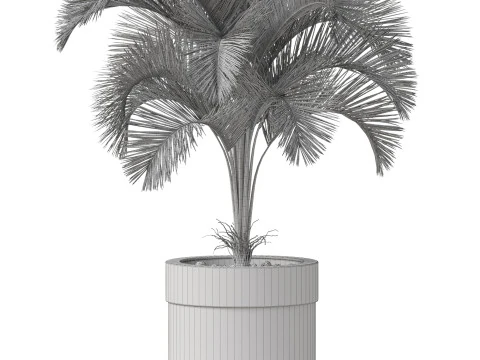 Plants collection 831 3D Model