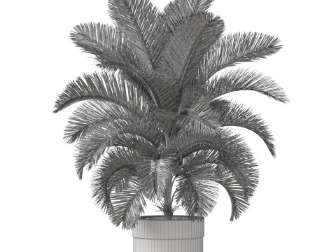 Plants collection 832 3D मॉडल