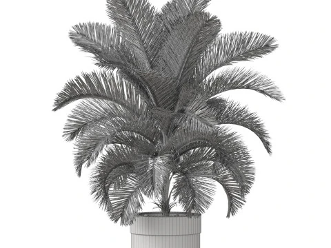 Collezione piante 832 Modello 3D