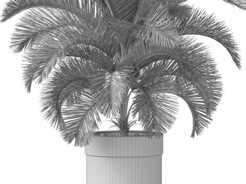 Plants collection 832 3D मॉडल