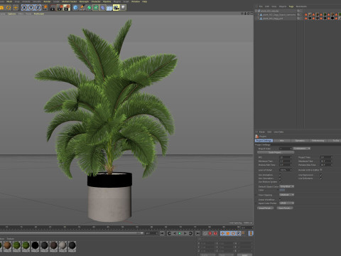 Plants collection 832 3D मॉडल