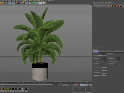 Collezione piante 832 Modello 3D