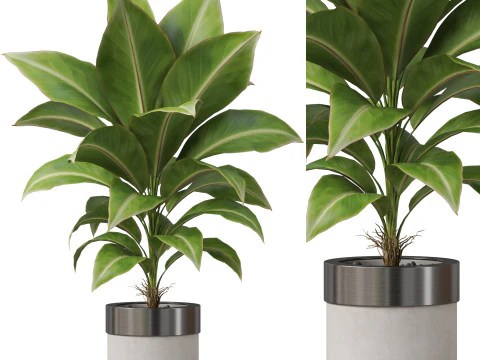 पौधों का संग्रह 833 3D मॉडल