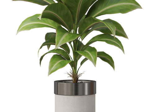 Plants collection 833 3Dモデル