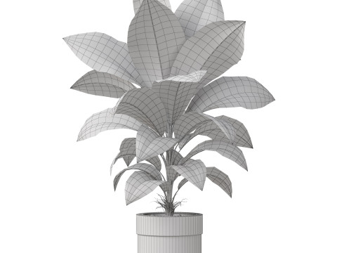 Plants collection 833 3Dモデル