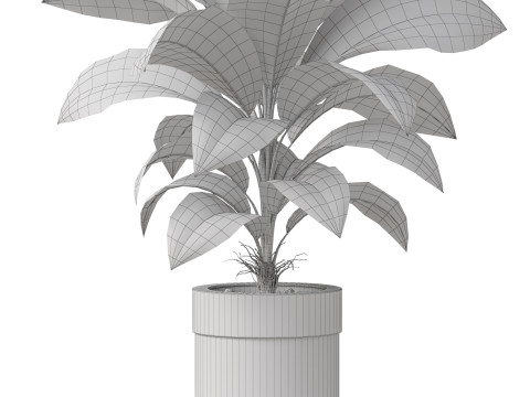 Plants collection 833 3Dモデル