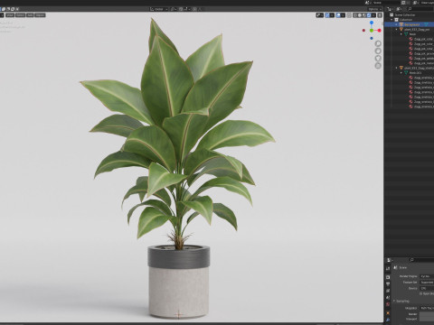 Plants collection 833 3Dモデル
