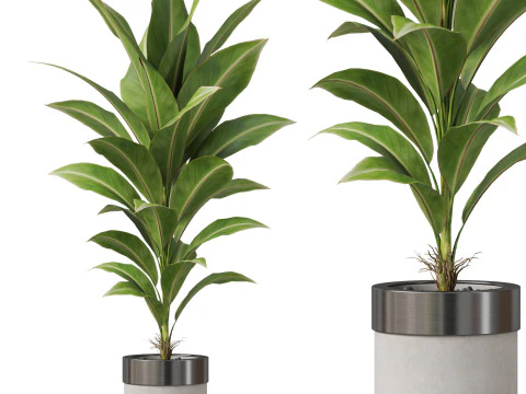 पौधों का संग्रह 834 3D मॉडल