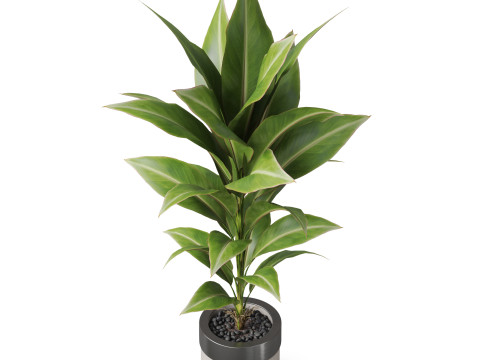 Plants collection 834 3D Модель
