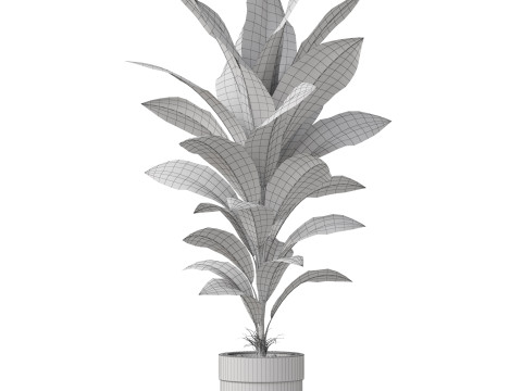Plants collection 834 3D Модель