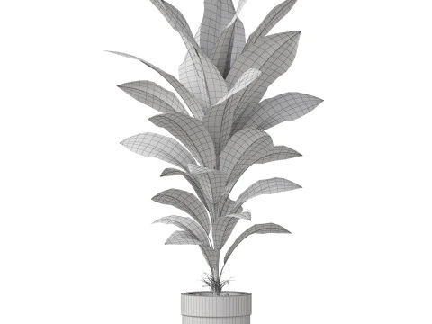 Collezione piante 834 Modello 3D