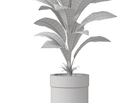 Plants collection 834 3D Модель