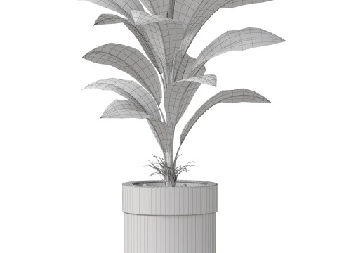 Collezione piante 834 Modello 3D