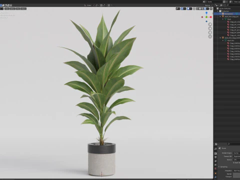 Collezione piante 834 Modello 3D