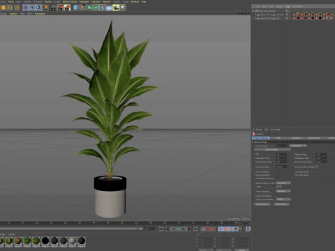 Collezione piante 834 Modello 3D