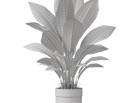Plants collection 835 3D Model