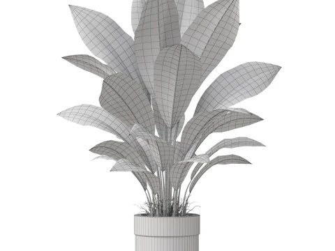 Plants collection 835 3D Model