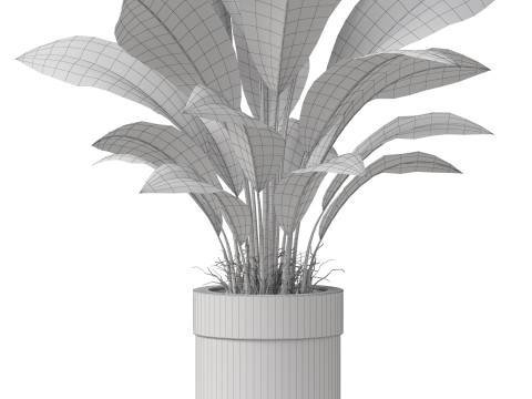 Plants collection 835 3D Model