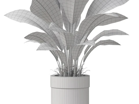 Plants collection 835 3D Model