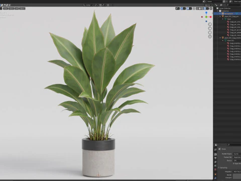Plants collection 835 3D Model