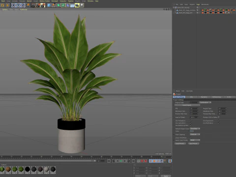 Plants collection 835 3D Model