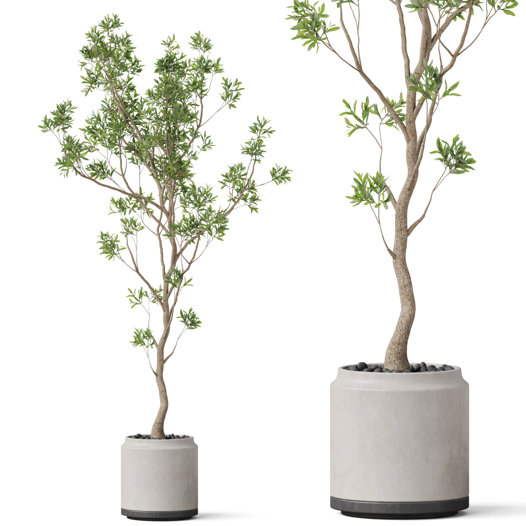 Plants collection 836 3D Model .c4d .max .obj .3ds .fbx .stl .blend 