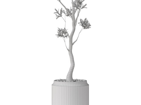Plants collection 836 3D Model