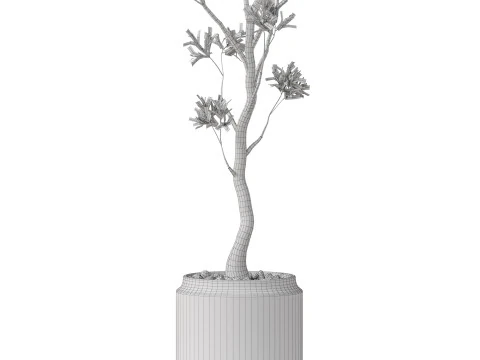 Plants collection 836 3D Model