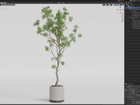 Plants collection 836 3D Model