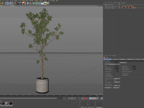 Plants collection 836 3D Model