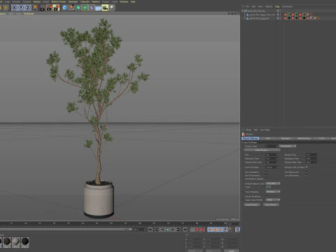 Plants collection 836 3D Model