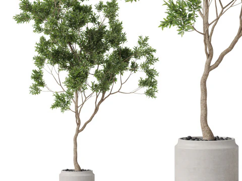 पौधों का संग्रह 837 3D मॉडल