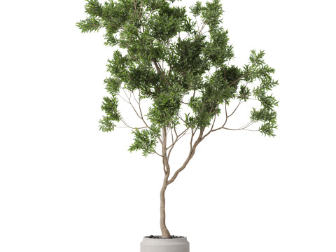 Plants collection 837 3D-Modell