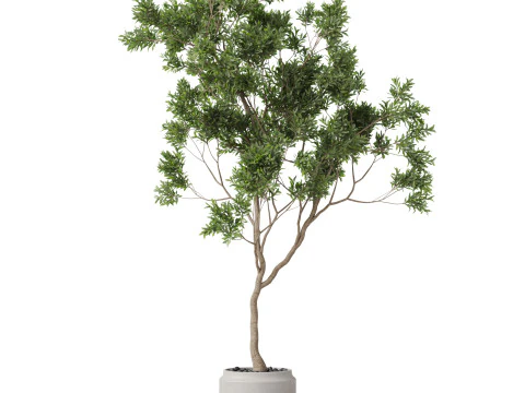 Plants collection 837 3D Model