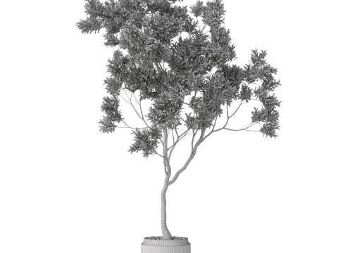 Plants collection 837 3D Model