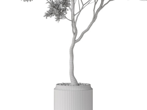 Plants collection 837 3D-Modell