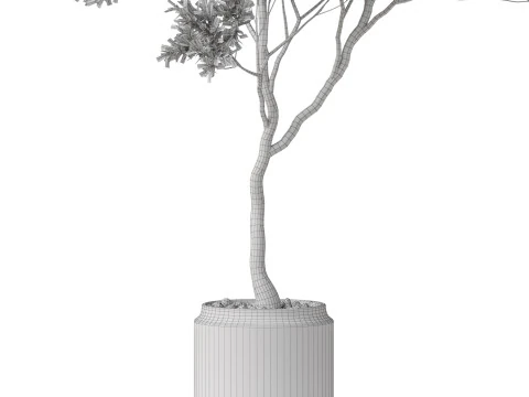 Plants collection 837 3D Model