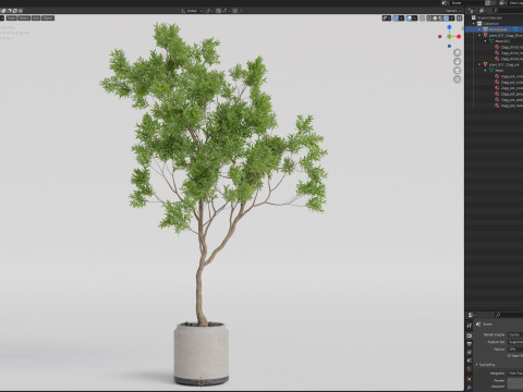 Plants collection 837 3D-Modell