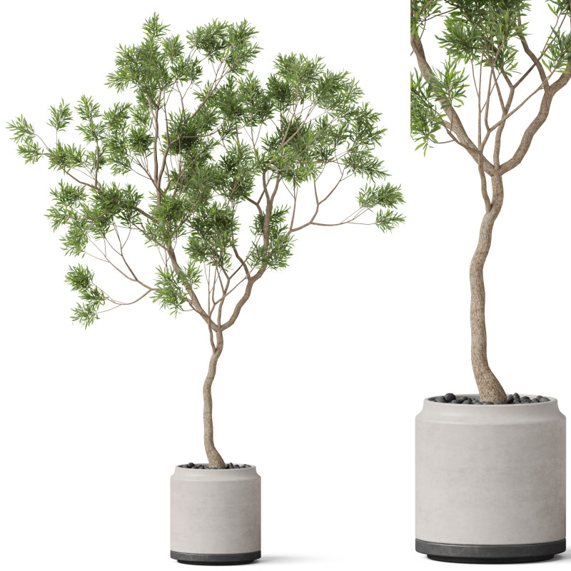 Plants collection 838 3D Модель .c4d .max .obj .3ds .fbx .stl .blend
