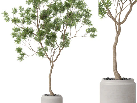 पौधों का संग्रह 838 3D मॉडल