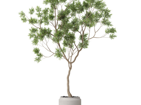 Plants collection 838 3D Модель