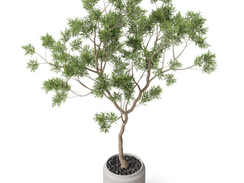 Plants collection 838 3D Модель